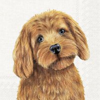 Servietten 33x33 cm - FARM DOG cream