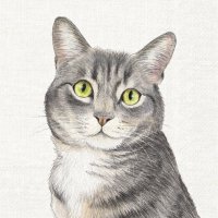 Servietten 33x33 cm - FARM CAT cream