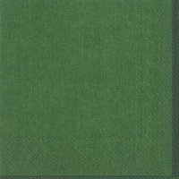 Napkins 33x33 cm - LINEN green