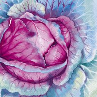 餐巾33x33厘米 - CABBAGE