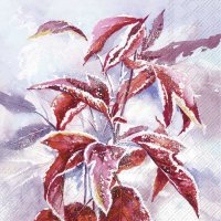 餐巾33x33厘米 - FROSTY BRANCH