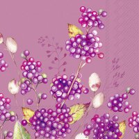 餐巾33x33厘米 - BERNADETTE pink