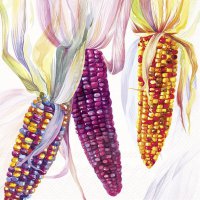 Napkins 33x33 cm - COLORFUL CORN