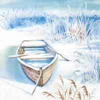 Napkins 33x33 cm - THE BOAT IN THE ICE