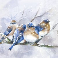 Napkins 33x33 cm - CUDDLY BIRDIES blue
