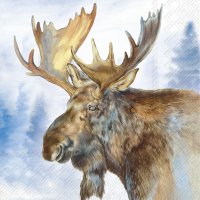 Napkins 33x33 cm - ELK blue