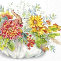 Servilletas 33x33 cm - CUCURBITA white
