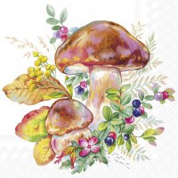 Servilletas 33x33 cm - MUSHROOM SEASON white