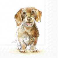 Servietten 33x33 cm - FRITZ