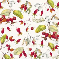 Napkins 33x33 cm - ROSE HIPS cream