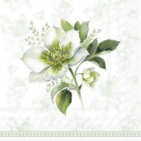 Napkins 33x33 cm - CLASSIC CHRISTMAS ROSE green