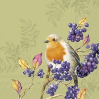 餐巾33x33厘米 - BIRD LIFE green