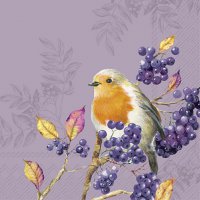 餐巾33x33厘米 - BIRD LIFE violet