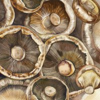 餐巾33x33厘米 - MUSHROOMS