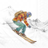 餐巾33x33厘米 - BLACK SKI RUNS