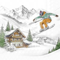 餐巾33x33厘米 - SKI VACATIONS