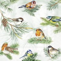 餐巾33x33厘米 - CHARMING BIRDS green