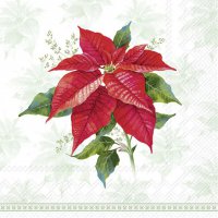 餐巾33x33厘米 - CLASSIC POINSETTIA green