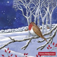 Servietten 33x33 cm - MIDNIGHT ROBIN