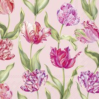 Napkins 33x33 cm - ESTELLE rose