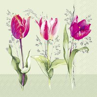 Servetten 33x33 cm - TULIP BEAUTIES light green