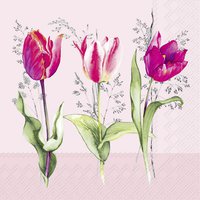 Servetten 33x33 cm - TULIP BEAUTIES light rose