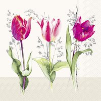 Servetten 33x33 cm - TULIP BEAUTIES cream