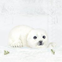 Servilletas 33x33 cm - SEAL