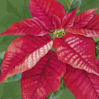 Servietten 33x33 cm - ELEGANT POINSETTIA green