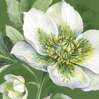 Servietten 33x33 cm - ELEGANT CHRISTMAS ROSE green