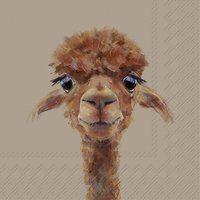 Servilletas 33x33 cm - ALPACA FERNANDO brown