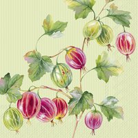 Serviettes 33x33 cm - GOOSEBERRY green