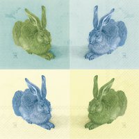 Servilletas 33x33 cm - POP ART DÜRER