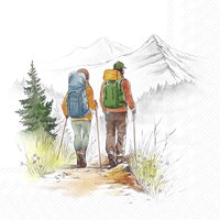 Servilletas 33x33 cm - HIKING
