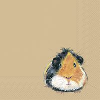 餐巾33x33厘米 - GUINEA PIG PEDRO light brown