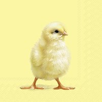 Napkins 33x33 cm - EASTER CHICK yellow