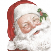 打孔餐巾纸 - FRIENDLY SANTA