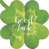 打孔餐巾纸 - GOOD LUCK
