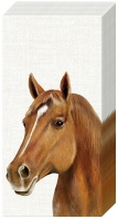 Handkerchiefs - FARM HORSE cream