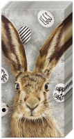 Handkerchiefs - OH MY RABBIT ...