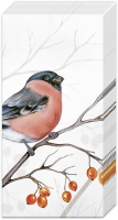 Handkerchiefs - DREAMING WINTER BIRD
