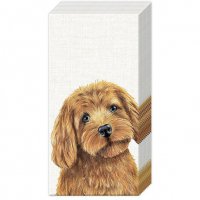 Handkerchiefs - FARM DOG cream