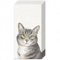 Handkerchiefs - FARM CAT cream