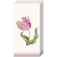 Mouchoirs - DRISELLE cream