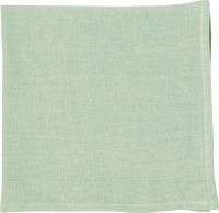 布餐巾 40x40 厘米 - LINEN UNI pále vert