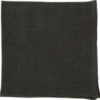 布餐巾 40x40 厘米 - LINEN UNI anthrazit