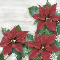 Serviettes 33x33 cm - Red Poinsettias Frame