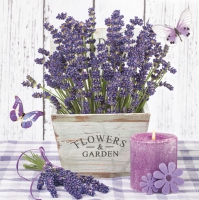 Serviettes 33x33 cm - Lavender in a Wooden Pot