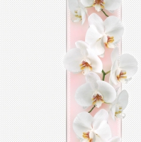 Serwetki 33x33 cm - Tender Orchid on Pink