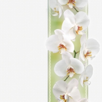 Serwetki 33x33 cm - Tender Orchid on Green
